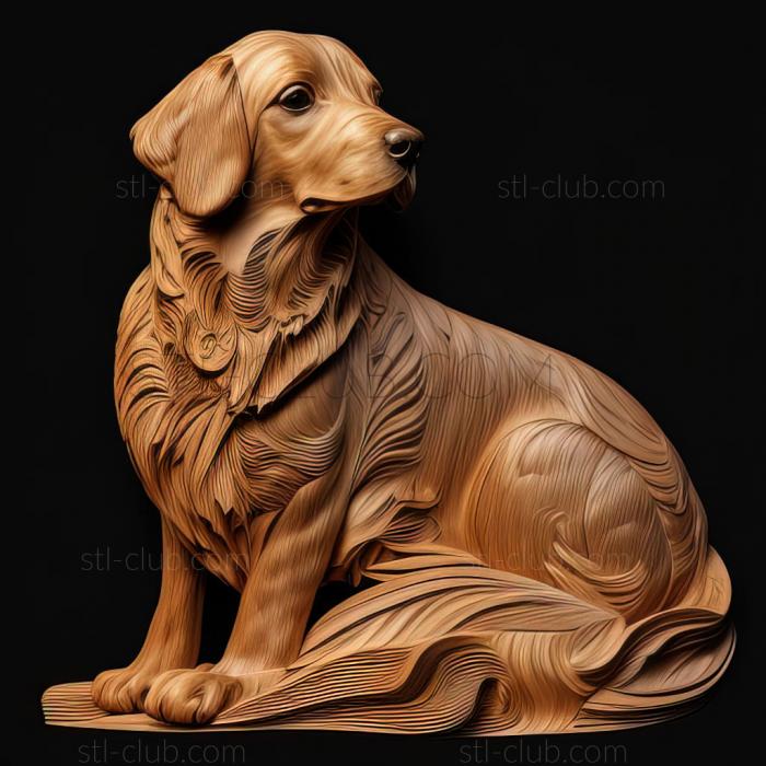 3D model st Rajapalayam dog breed dog (STL)